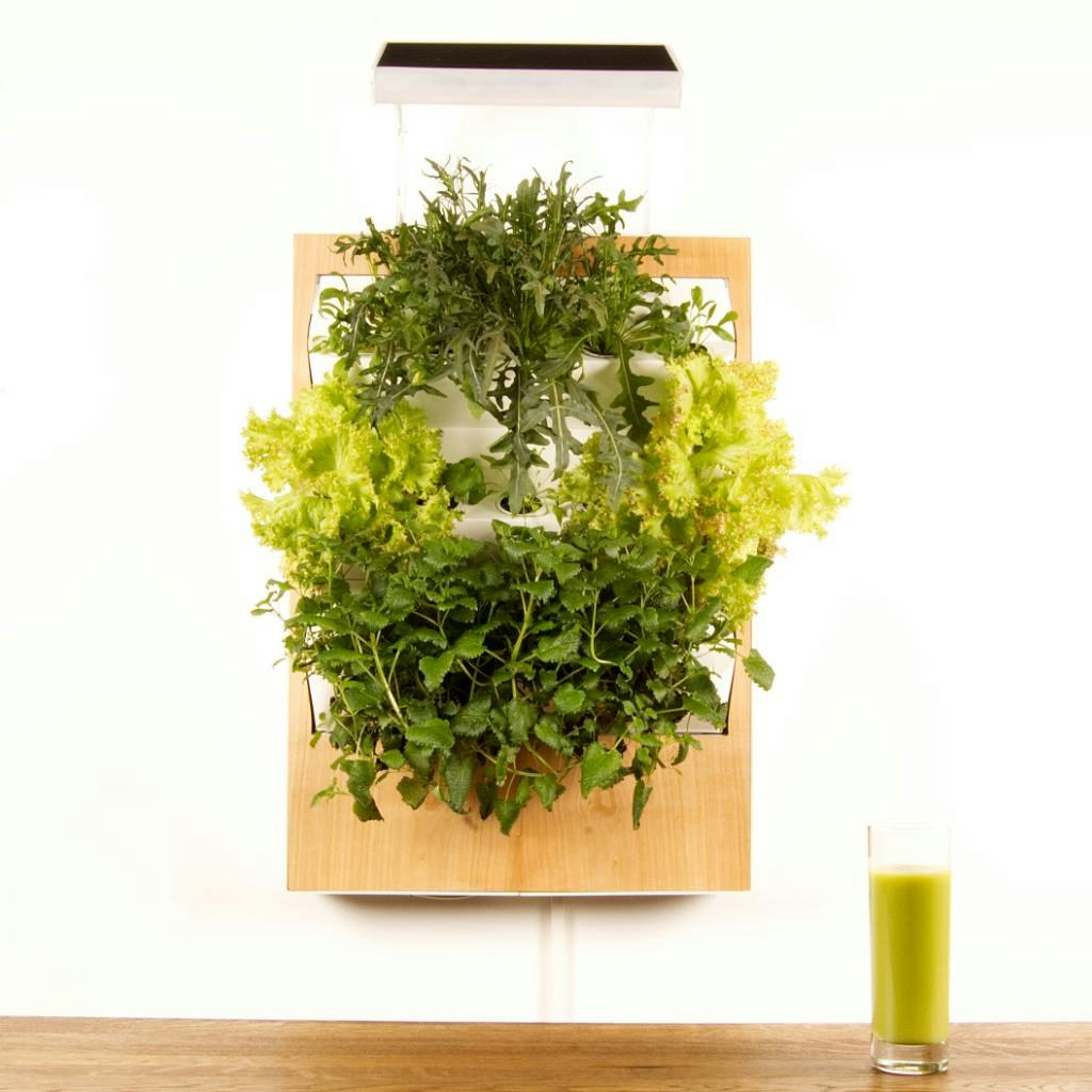 Herbert gallery image