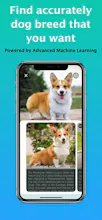 Dog Identifier - Dog Scanner gallery image