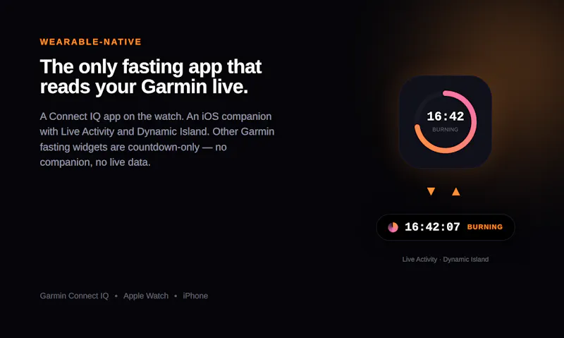 FastFlow screenshot 3