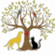 Pet Boarding Sharjah Care