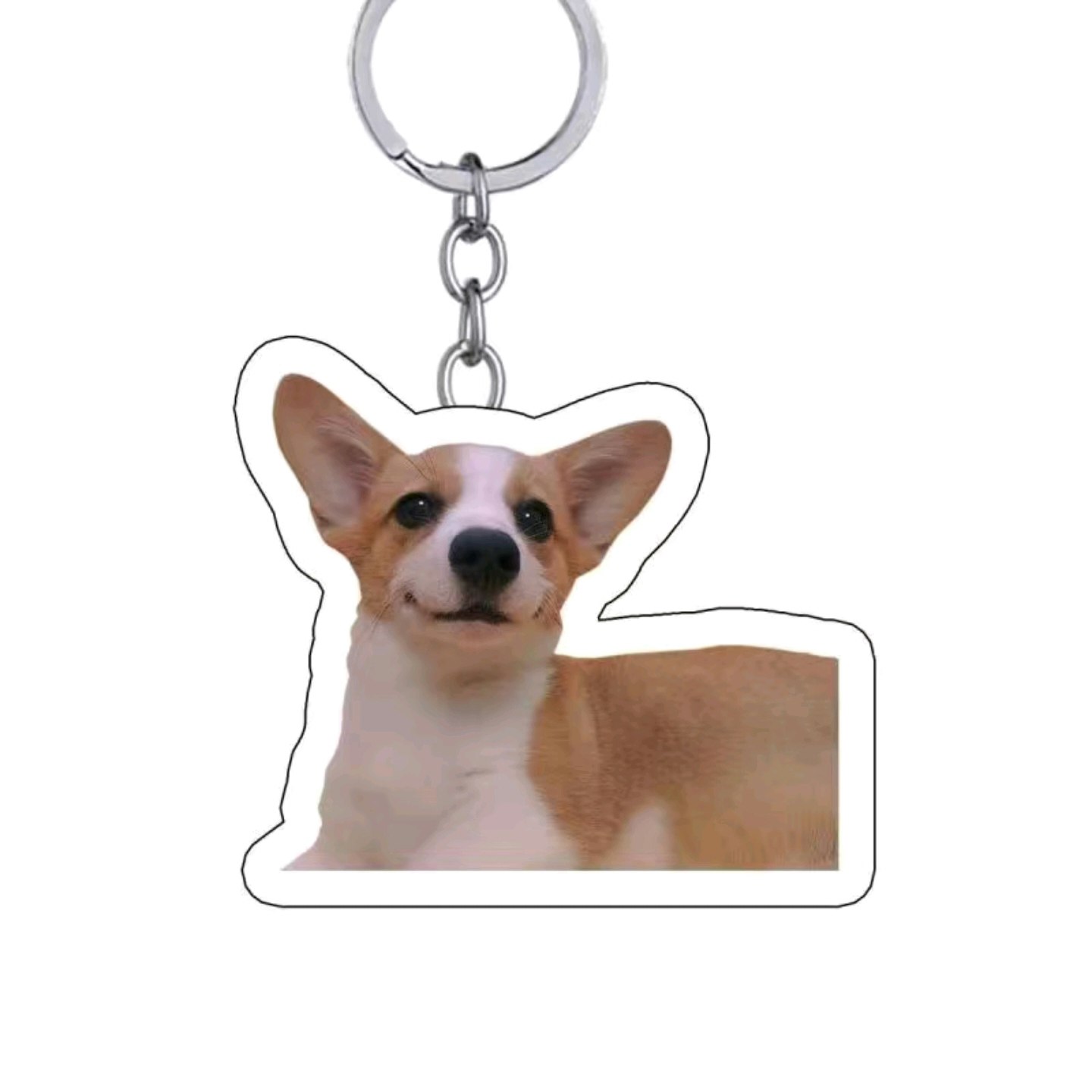 Özel Pet Keychain Köpek Anahtar Zinciri - Köpek Anahtarı medya 2