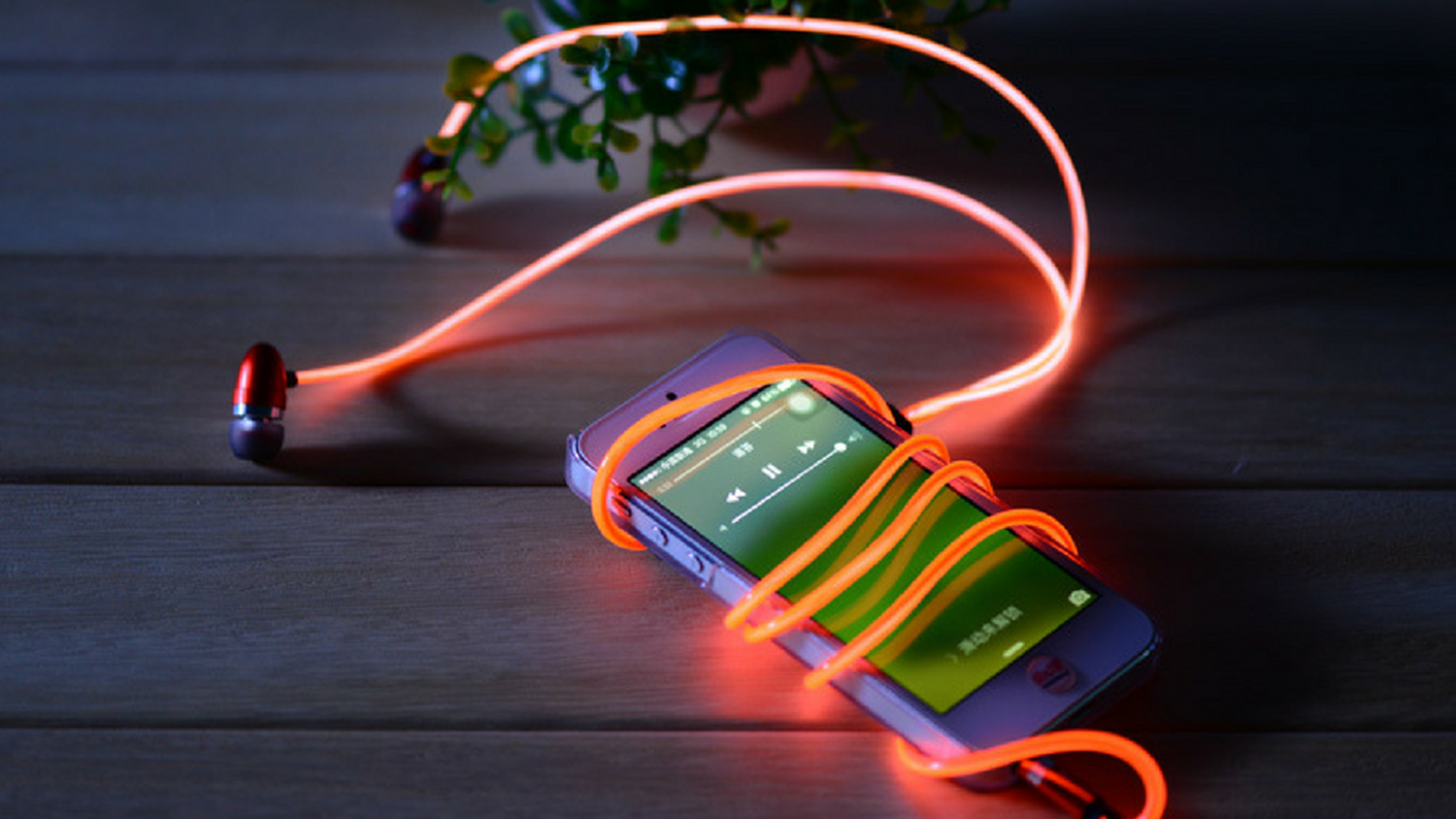 Night Rhythm gallery image