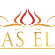 Tejas Elite Events best wedding planners - Product Hunt launch logo and brand identity