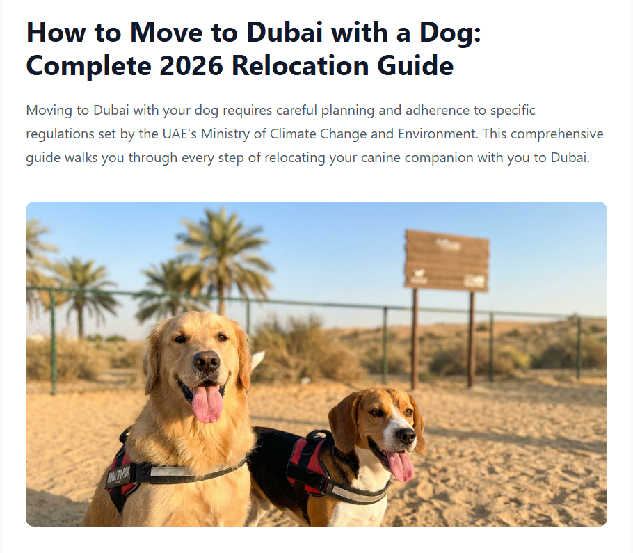 DubaiWoofs - Main product screenshot demonstrating key features and user interface