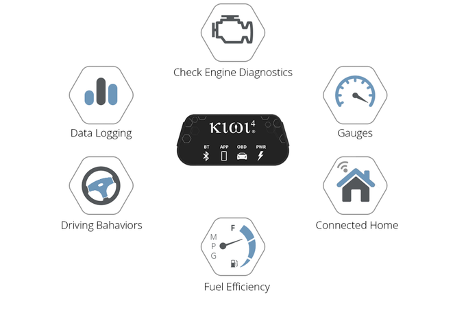 Kiwi 4 gallery image