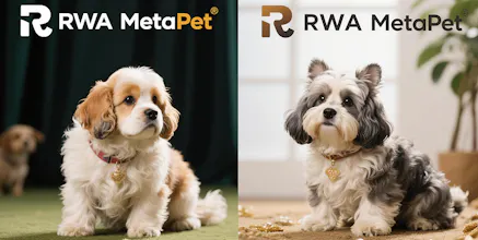 MetaPet gallery image