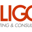 ELIGO eVoting