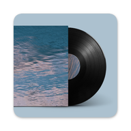 Vinyl Widget -Vinyl widget for music APP