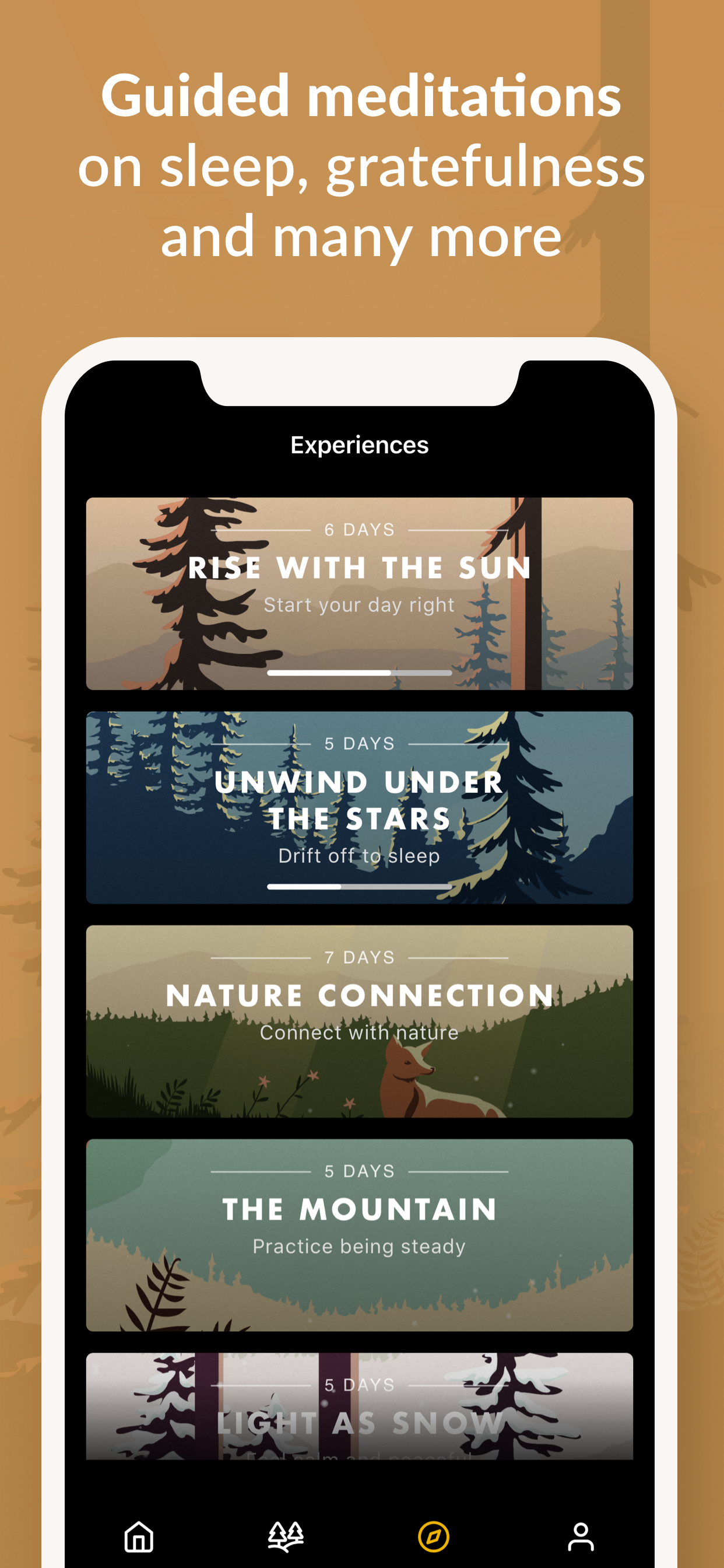 Wild Journey gallery image