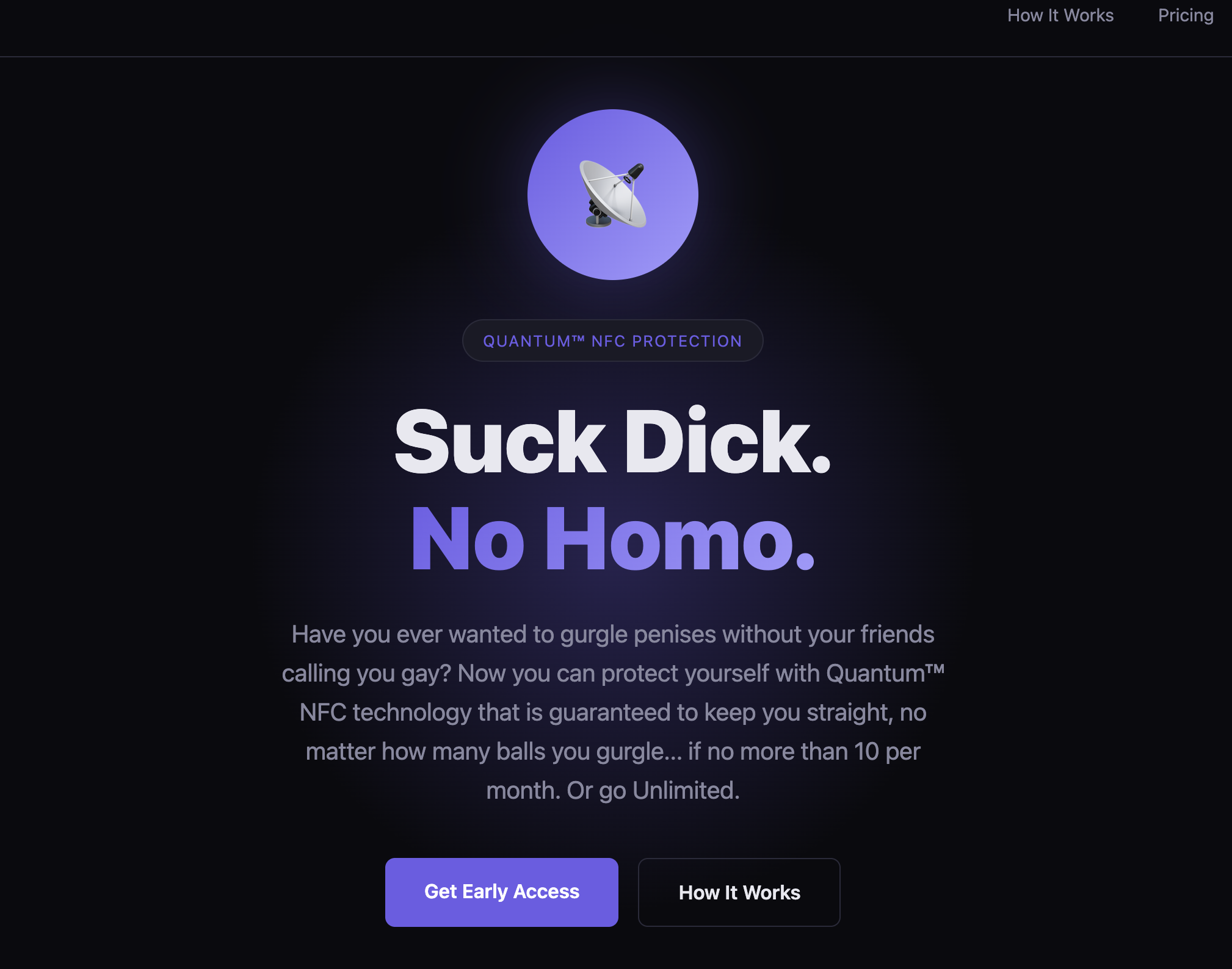 No-Homo Forever! gallery image