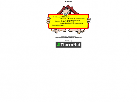 IP Monkey gallery image