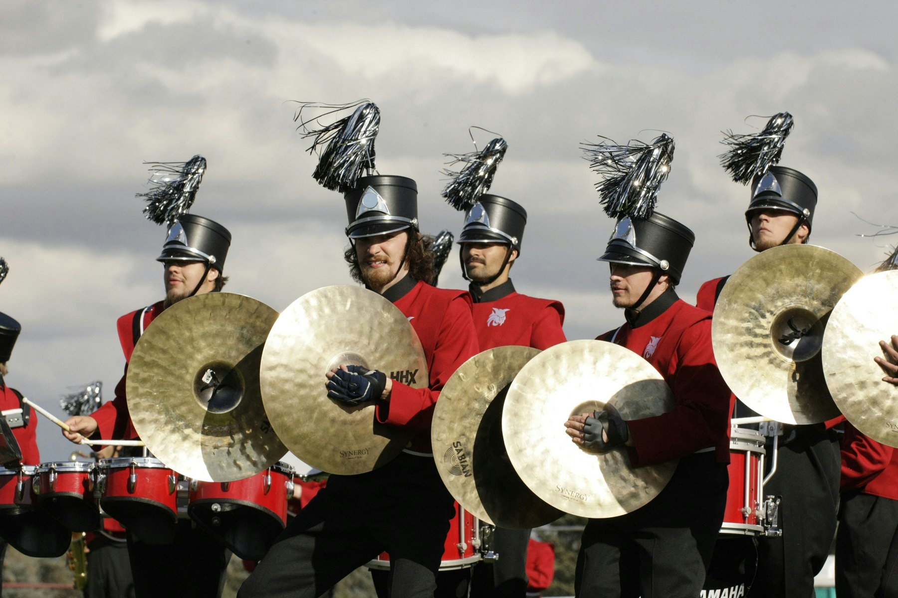 TaxFreeMonkey gallery image