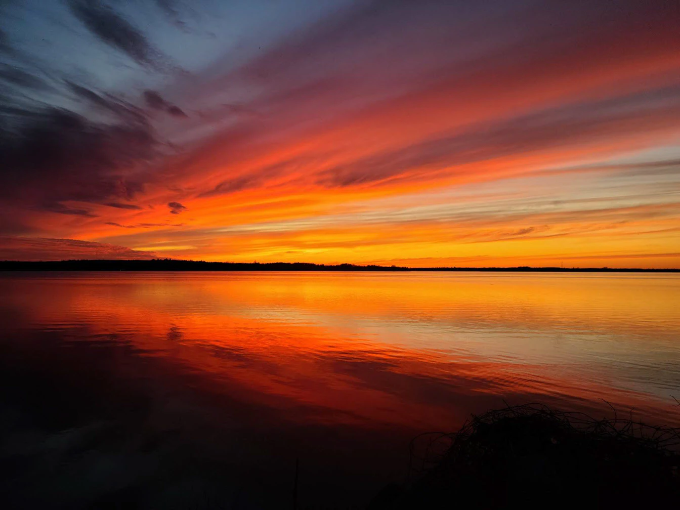 Mike MacFarlane cover