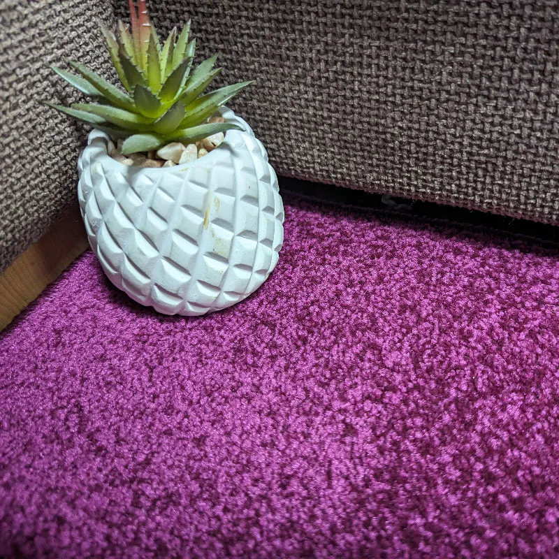 Carpets Online