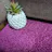 Carpets Online