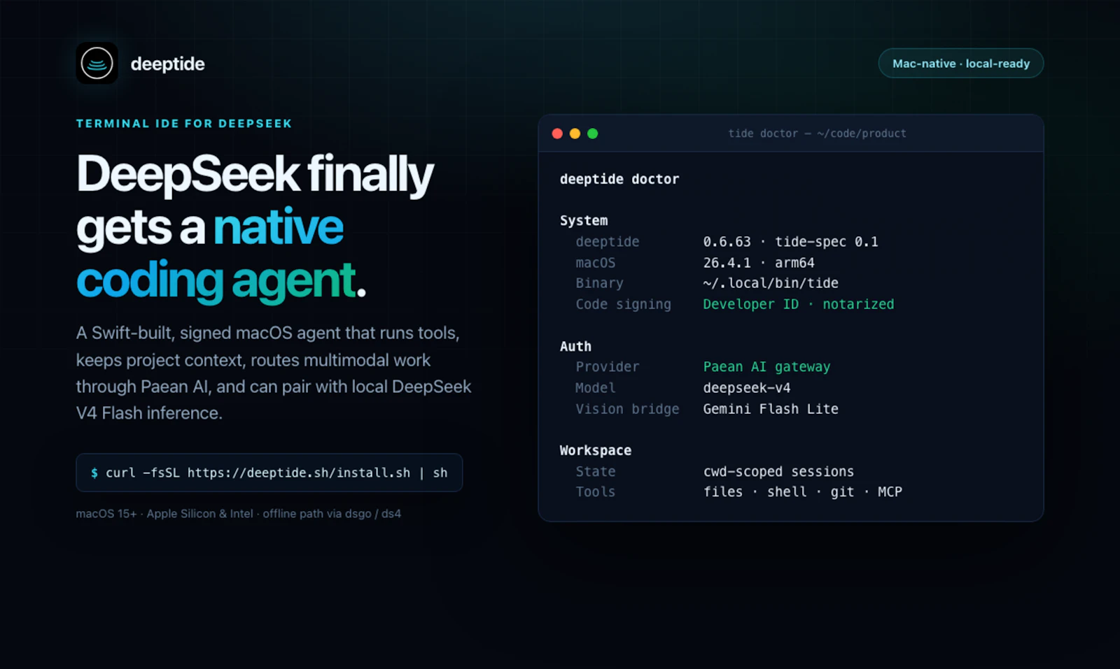 Deeptide -A Native DeepSeek Coding Agent screenshot 1