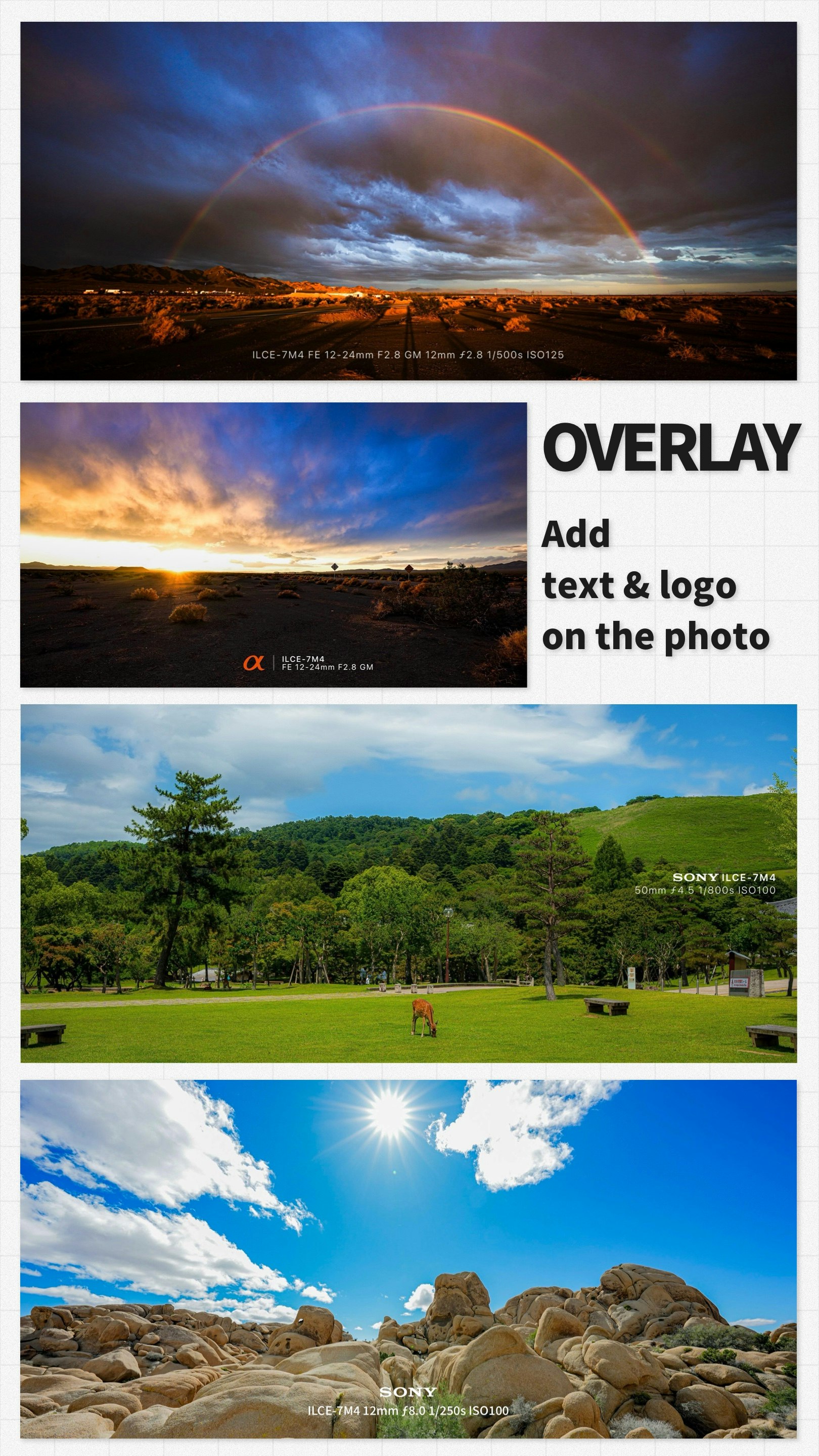 Reframe gallery image