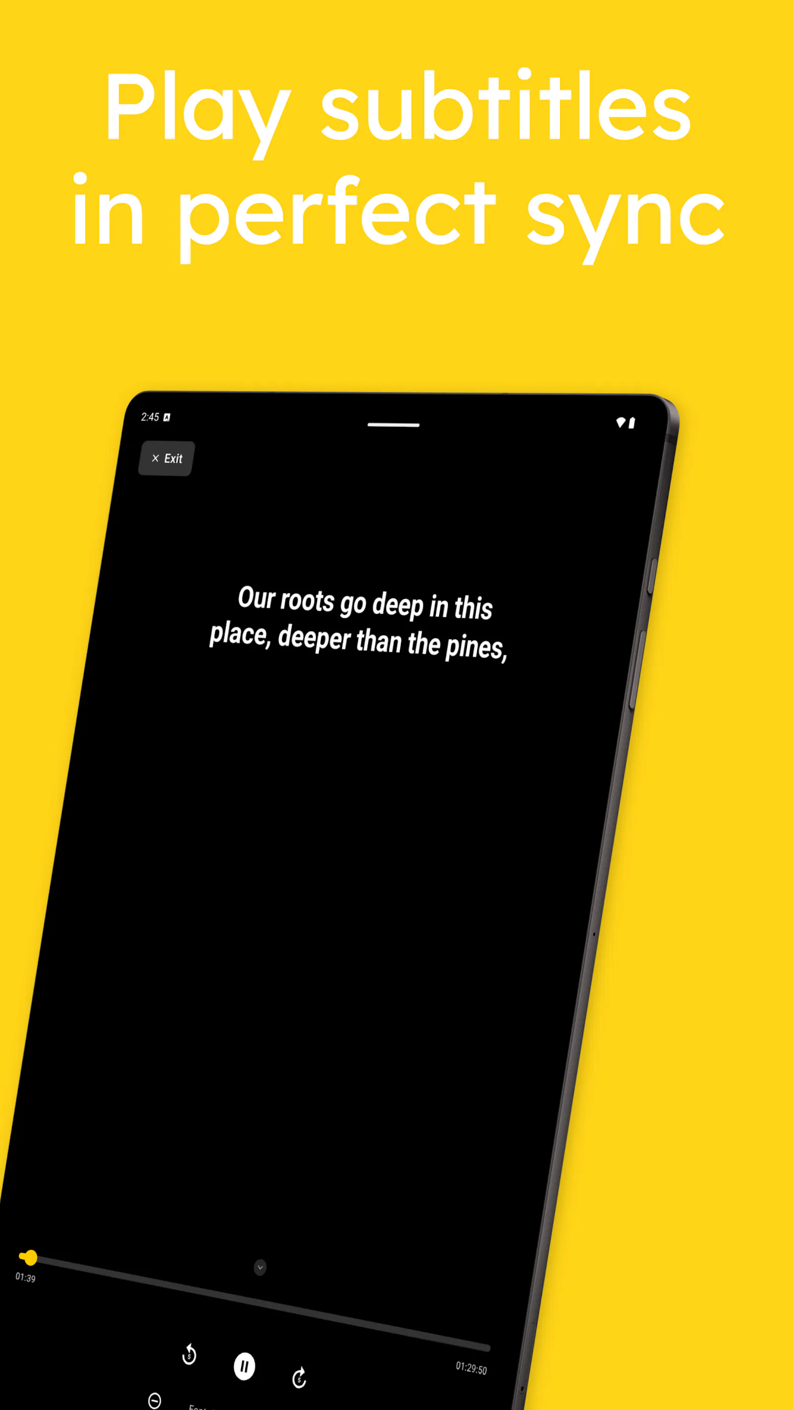 SubPlayer screenshot 6