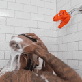 Zooheads