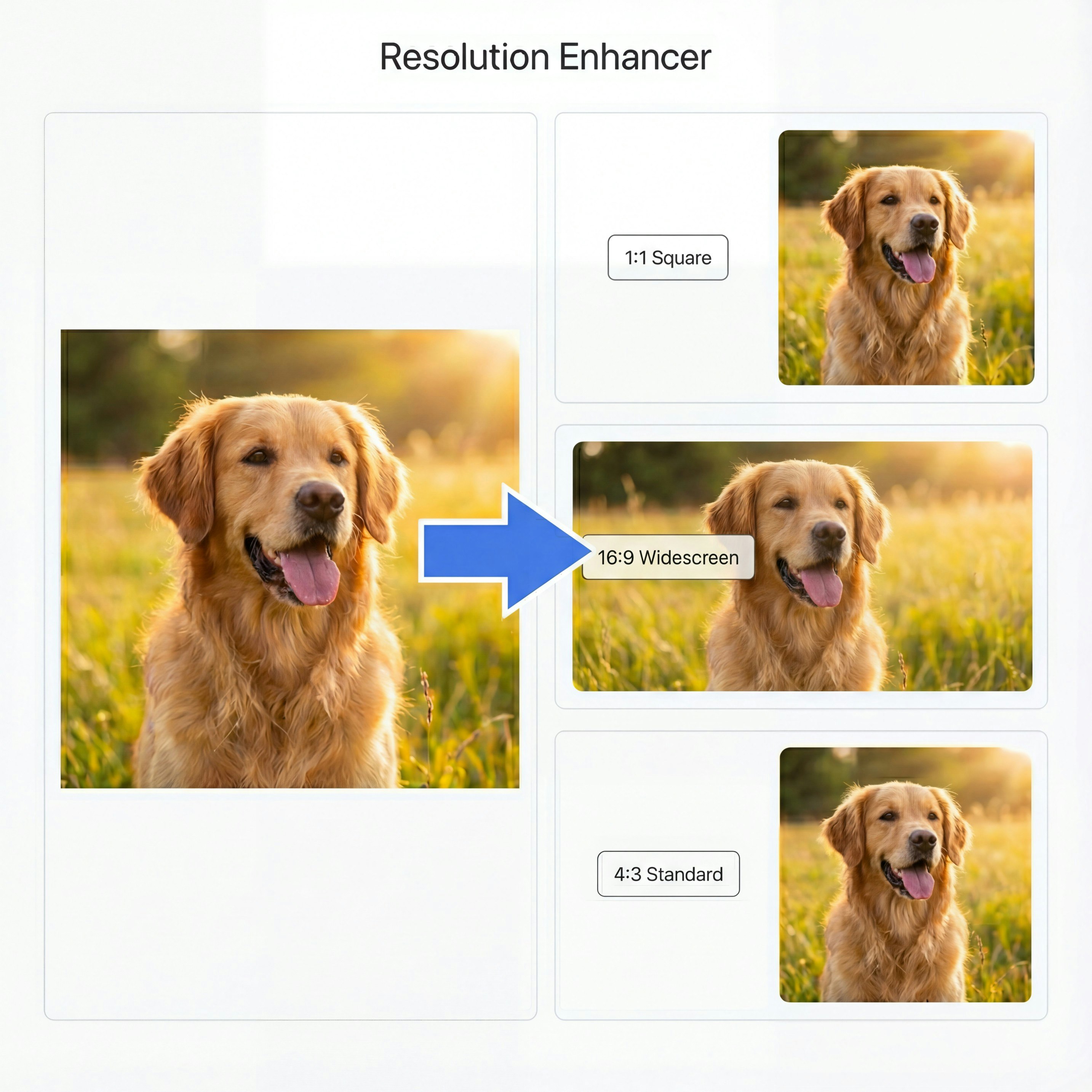 imgour gallery image