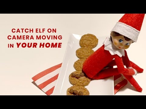 Catch Elf Move gallery image