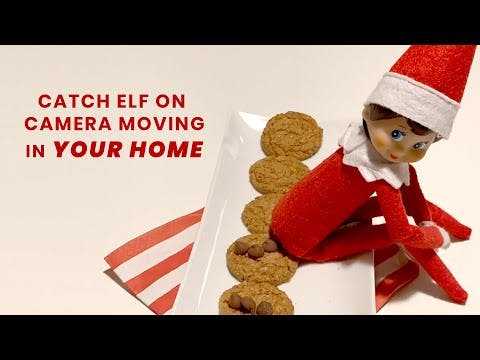 Catch Elf Move media 1