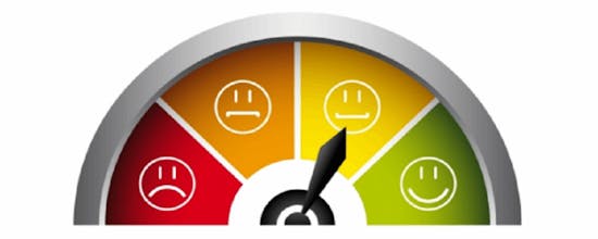 Well Grounded gallery image