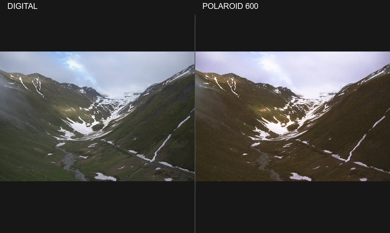 Silver Halide gallery image