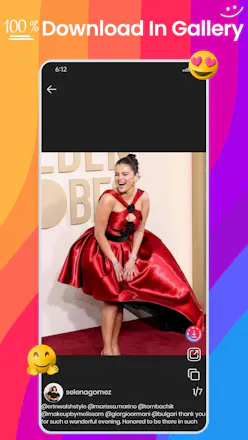 Instagram Story Downloader gallery image