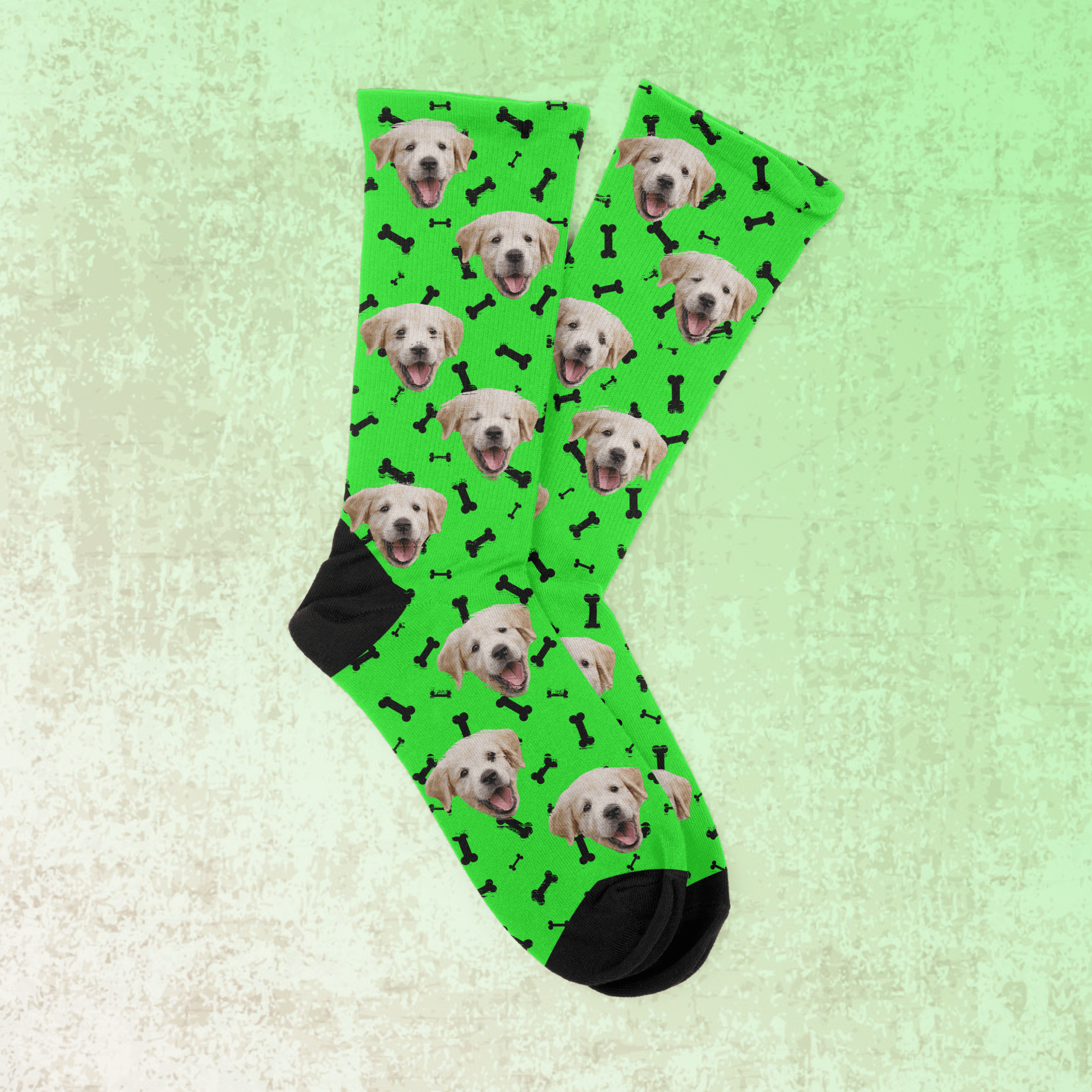 PetSox gallery image