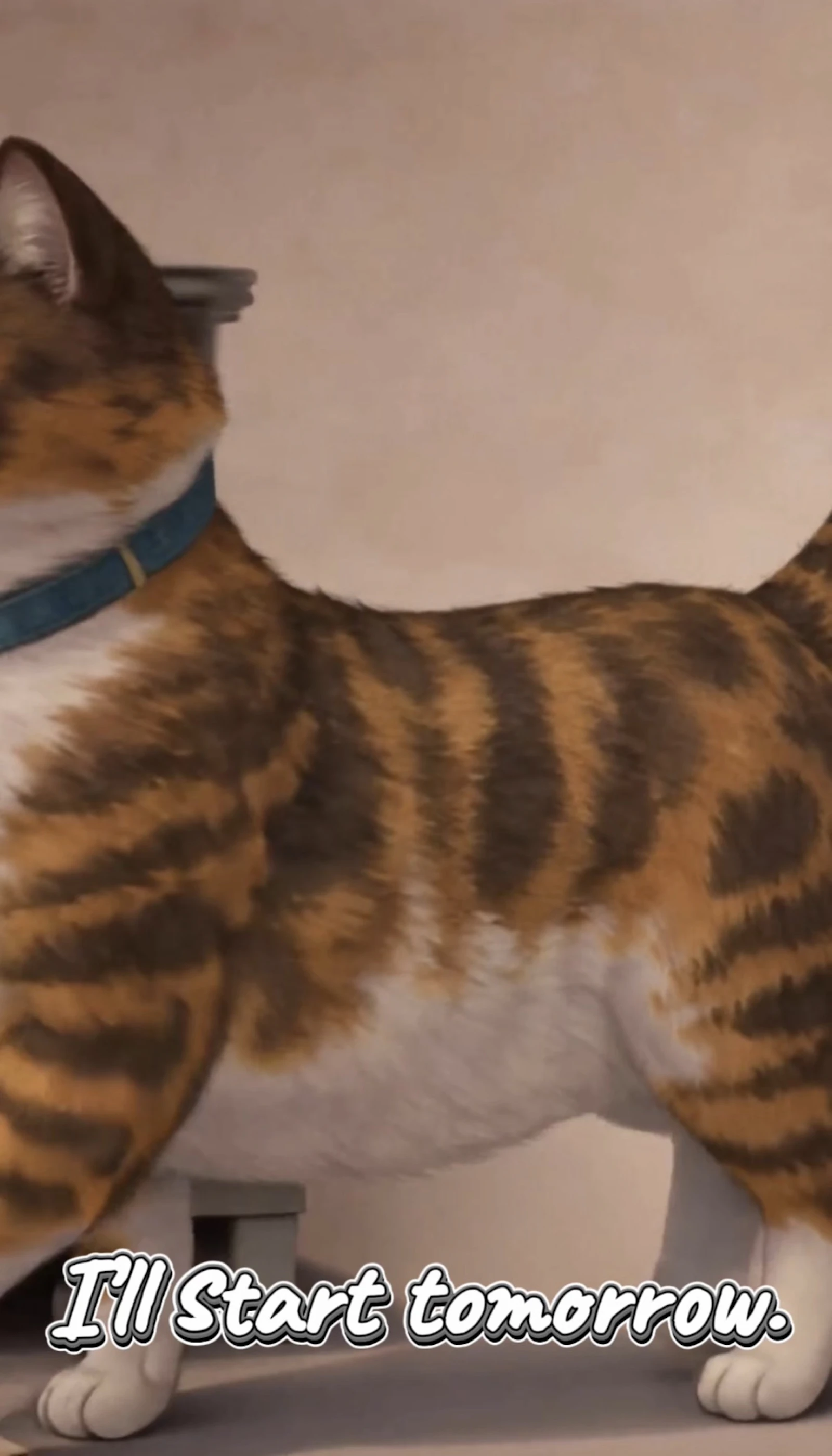 Chonky Cat screenshot 4