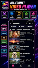 Video player for all format gallery image