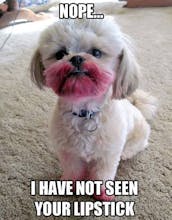 MemeMill - MEME Maker & MEMEs gallery image