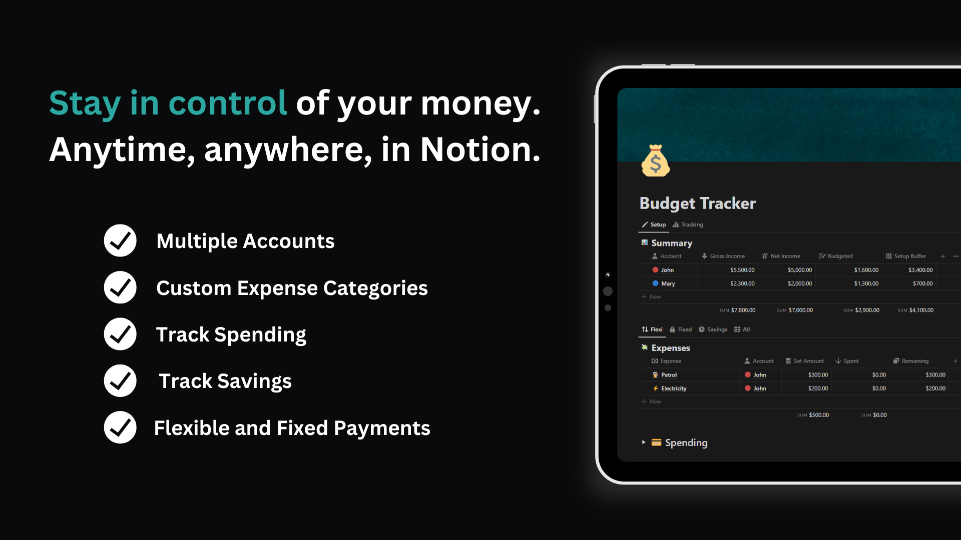 Notion Budget Tracker gallery image