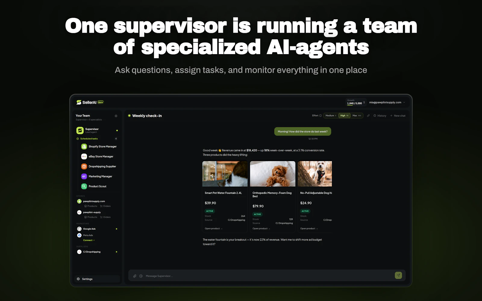 SellerClaw screenshot 4