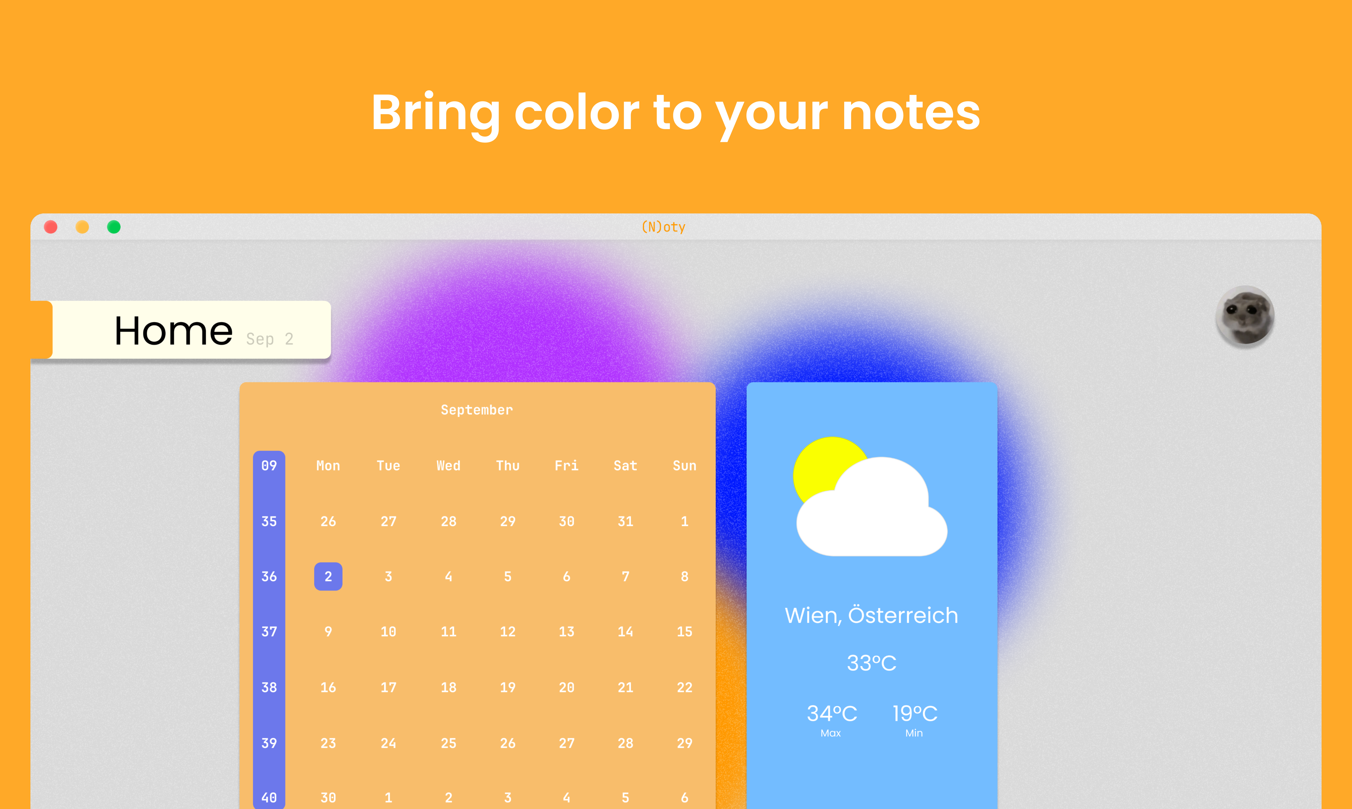 (N)oty gallery image