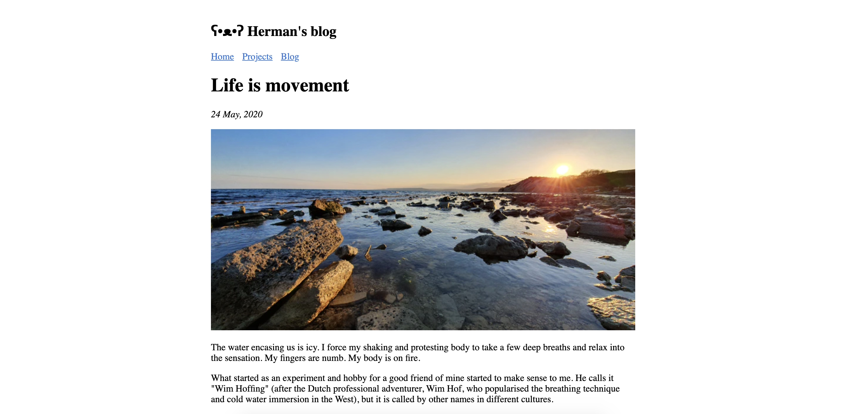 ʕ•ᴥ•ʔ Bear gallery image