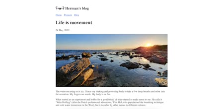 ʕ•ᴥ•ʔ Bear gallery image