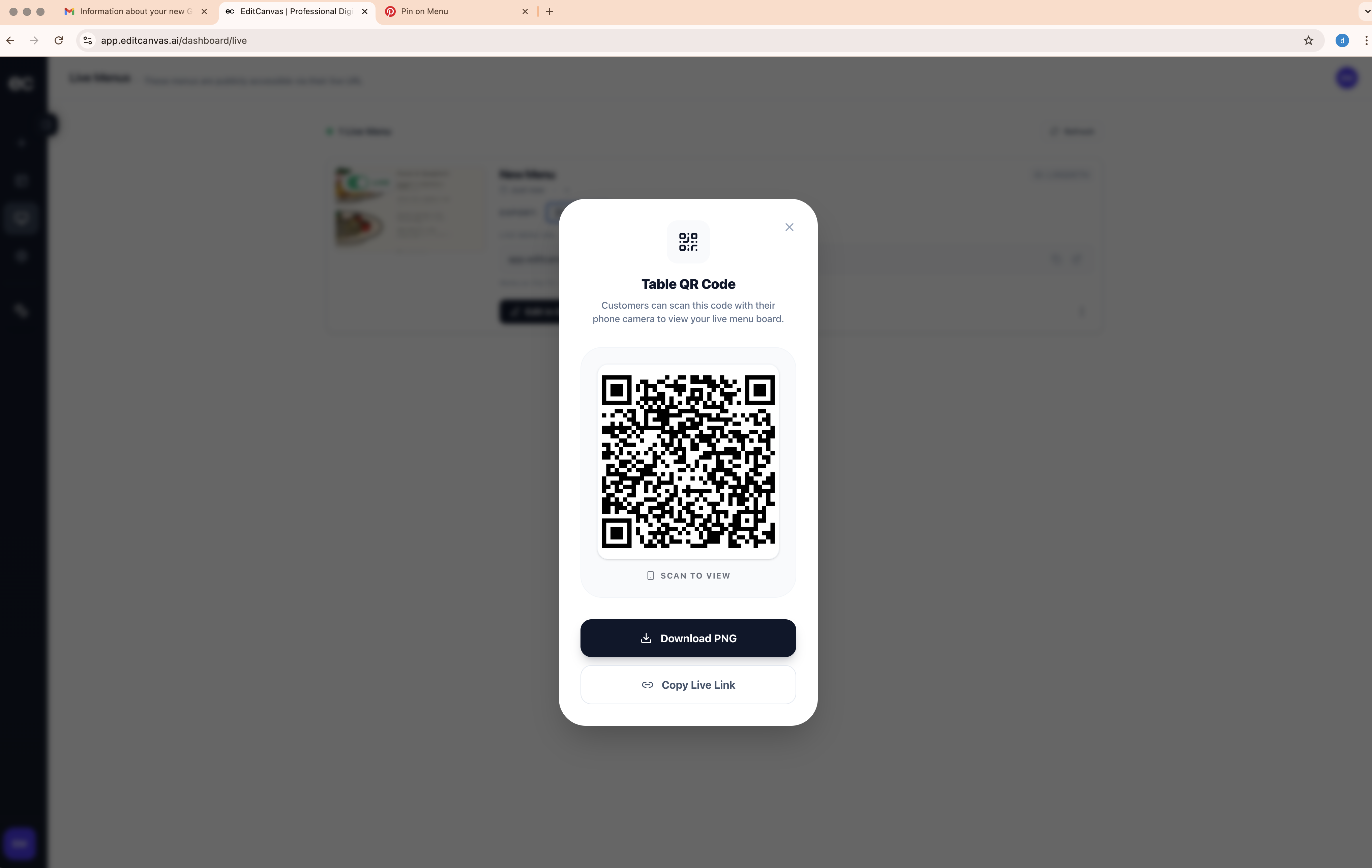 EditCanvas.ai gallery image