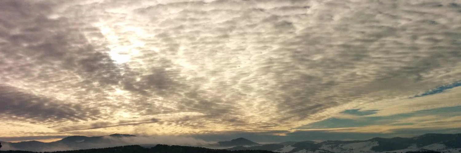 Ivana Veljović cover