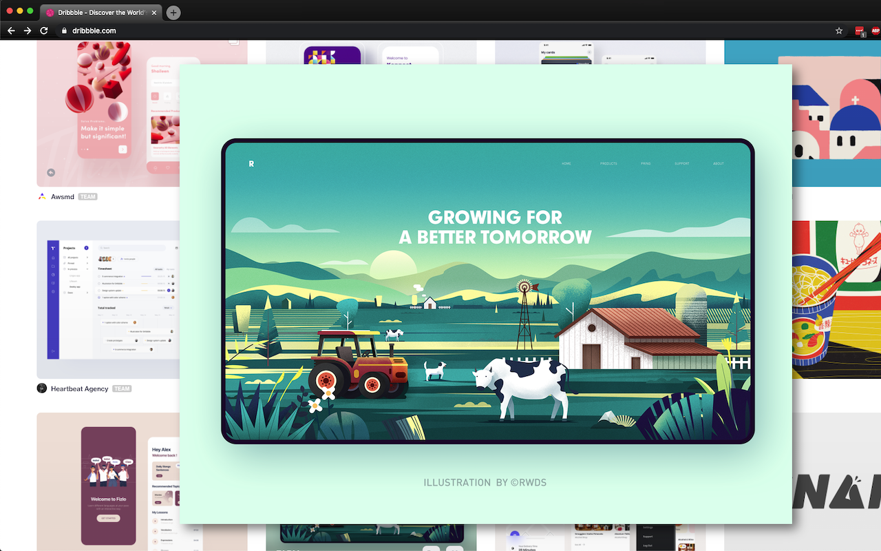 Dribbble shot hover preview gallery image