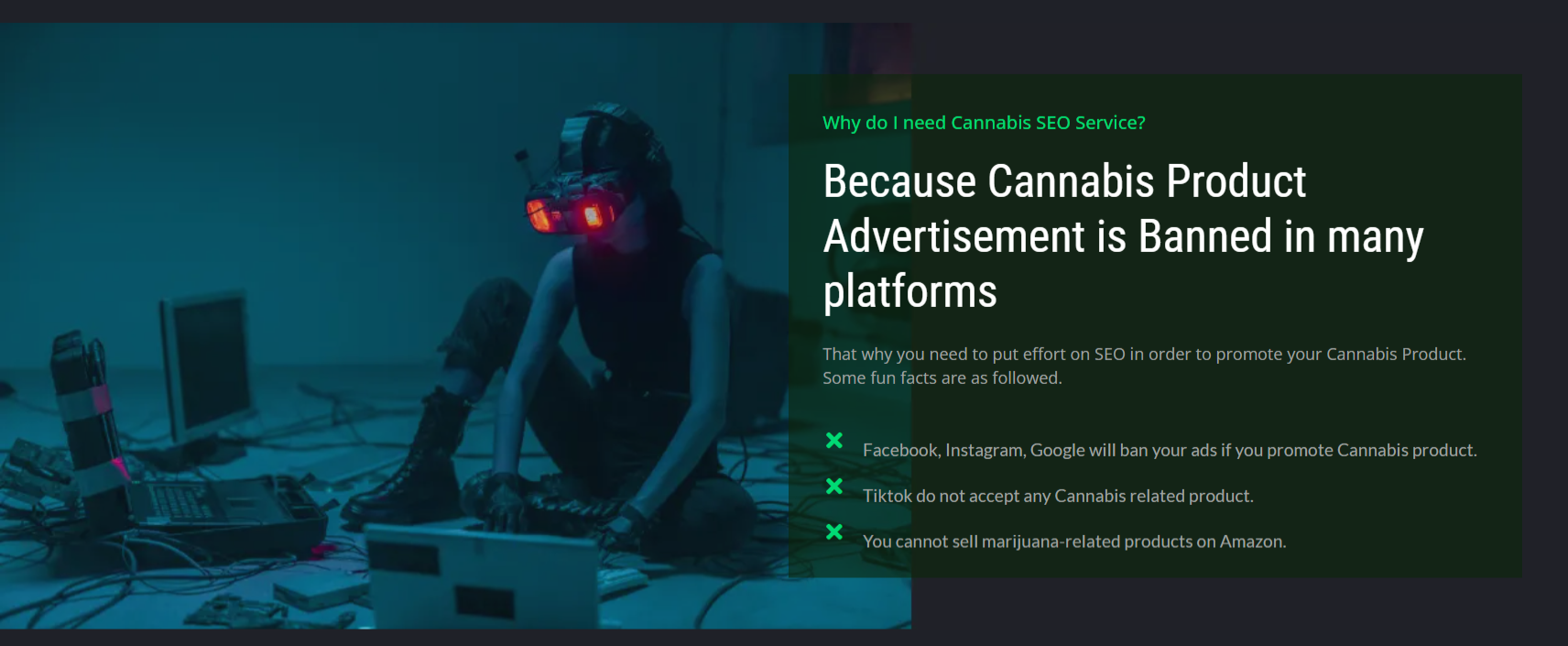 H4hemp media 2