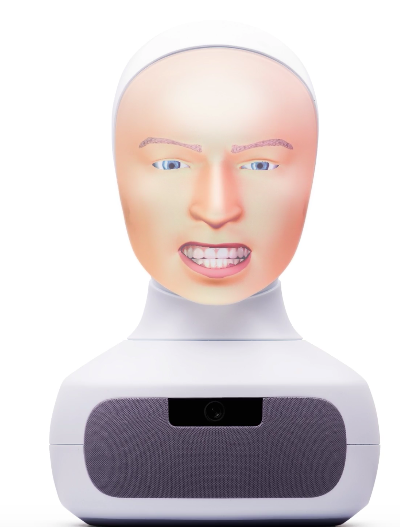 Furhat gallery image