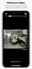 Cheese gallery image