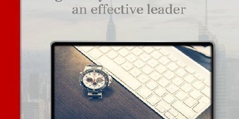 Leadership Productivity image