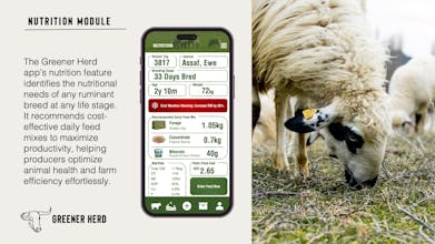 Greener Herd gallery image