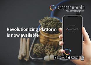 Cannooh gallery image