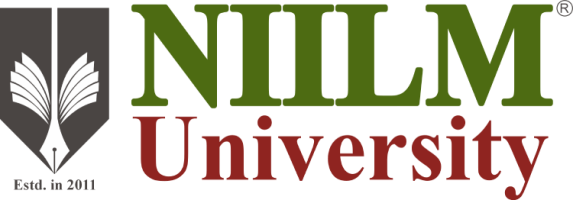 NIILM University - Kaithal, Haryana - Main product screenshot demonstrating key features and user interface