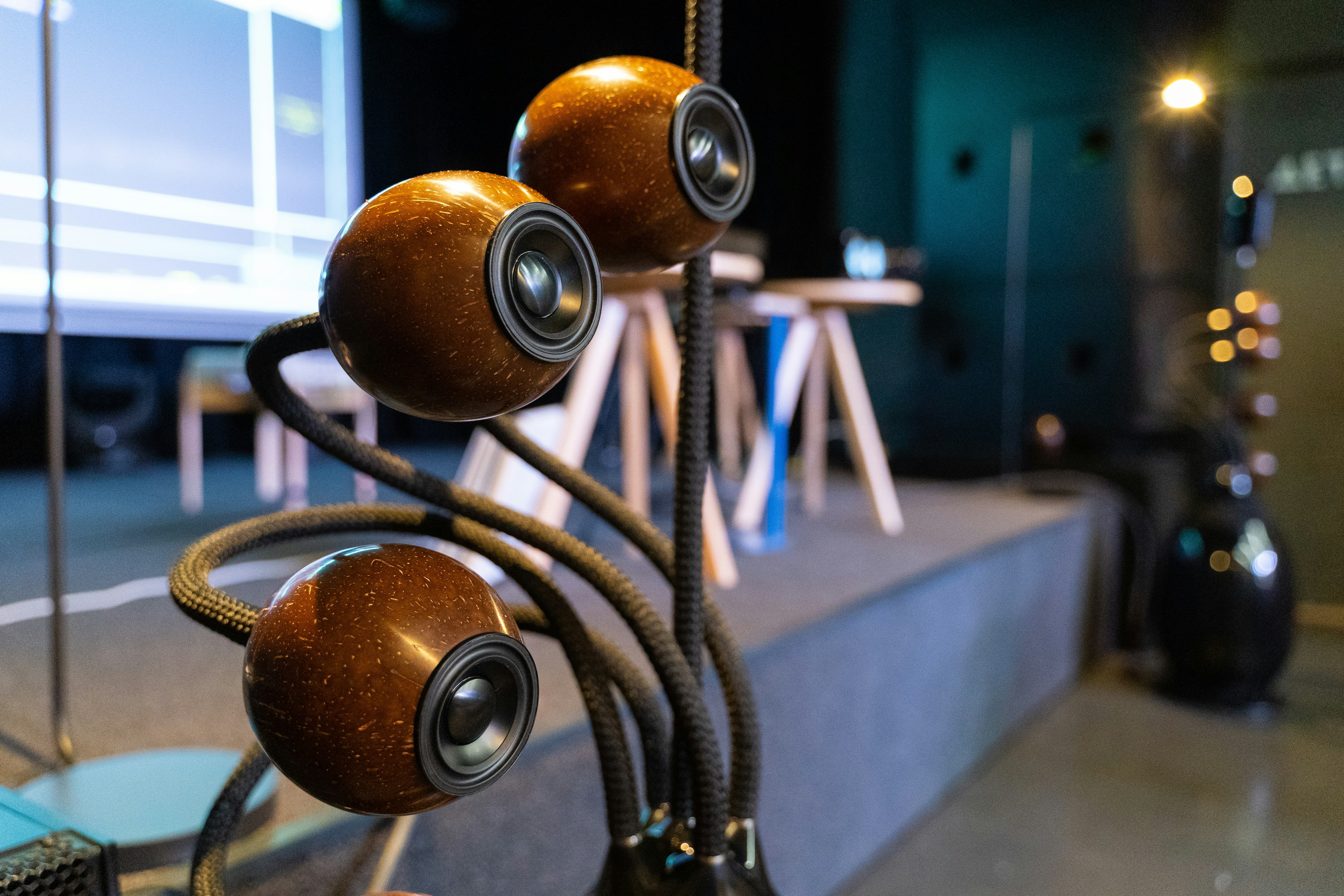 Hydra  gallery image