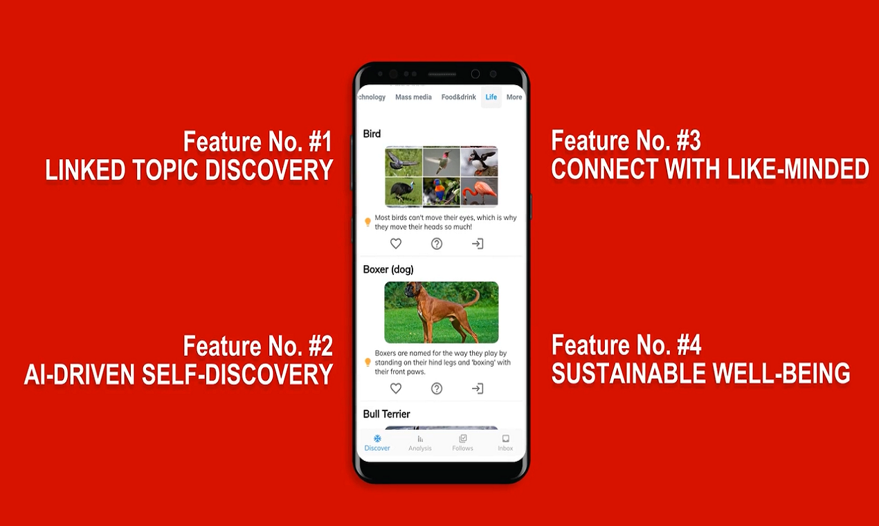 Coclue media 3